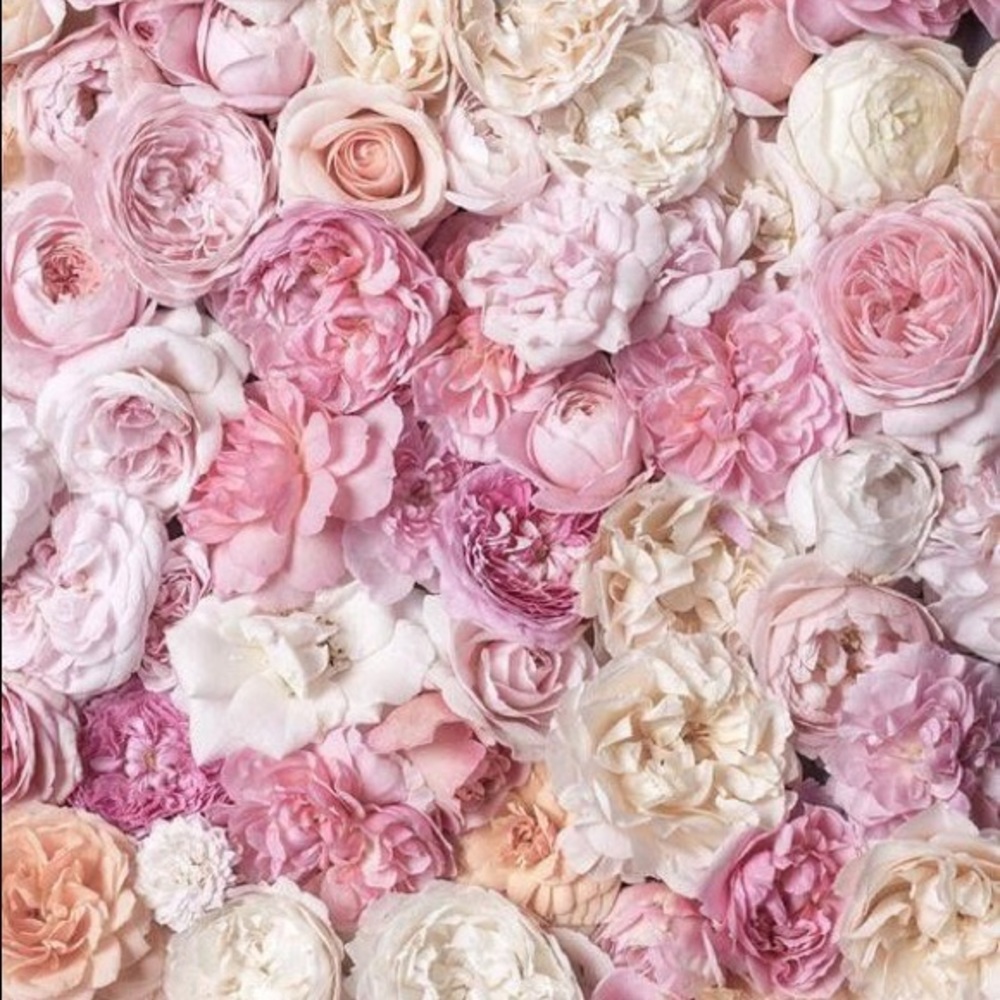 OPEN TO ALL OFFERS!!!